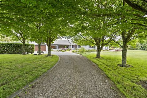 Photo of property in 628 Maungatautari Road, Maungatautari, Cambridge, 3494