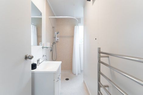 Photo of property in 21a Pacific Street, Roslyn, Dunedin, 9010