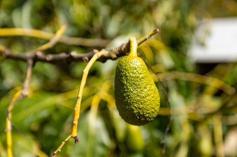 Photo of property in 711c Cable Bay Road, Cable Bay, Nelson, 7071