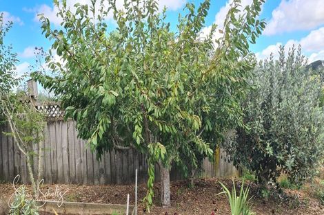 Photo of property in 6 Ash Grove, Maungaturoto, 0520