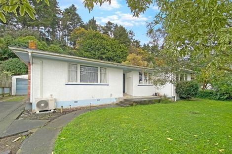 Photo of property in 144 Ikitara Road, Whanganui East, Whanganui, 4500