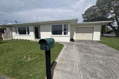 Photo of property in 55 Windsor Street, Terrace End, Palmerston North, 4410