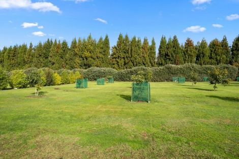 Photo of property in 21 Youngson Road, Whakamarama, Tauranga, 3180