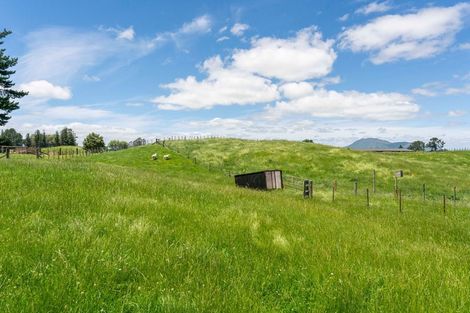Photo of property in 151b Palmer Mill Road, Wairakei, Taupo, 3384