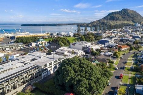 Photo of property in 277 Maunganui Road, Mount Maunganui, 3116