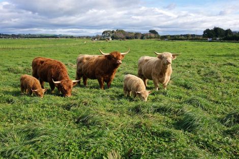 Photo of property in 12a Pahiatua Pongaroa Road, Pahiatua, 4982