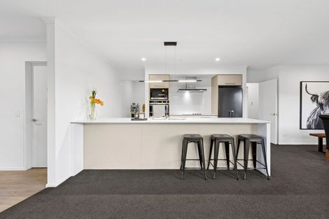 Photo of property in 46 Berryfield Drive, Richmond, 7020