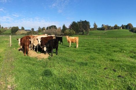 Photo of property in 30 Howden Road, Whatawhata, Hamilton, 3289