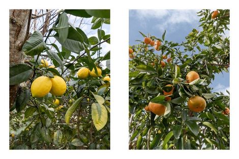 Photo of property in 41 Oteki Park Drive, Welcome Bay, Tauranga, 3112