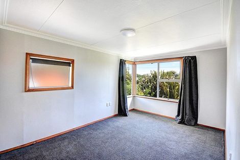 Photo of property in 217 Union Street, Milton, 9220