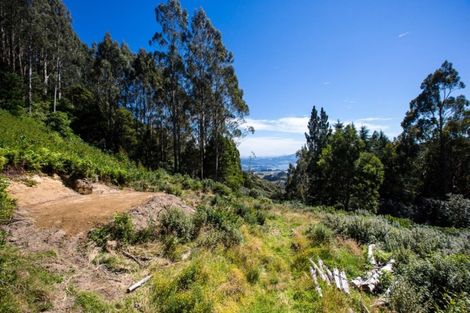 Photo of property in 533 Mount Cargill Road, Mount Cargill, Waitati, 9085