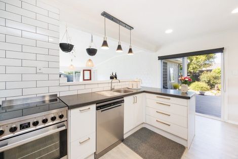 Photo of property in 50 Haydon Street, Roslyn, Palmerston North, 4414