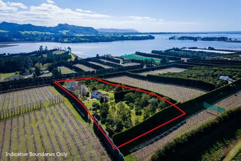 Photo of property in 210 Tuapiro Road, Tahawai, Katikati, 3170