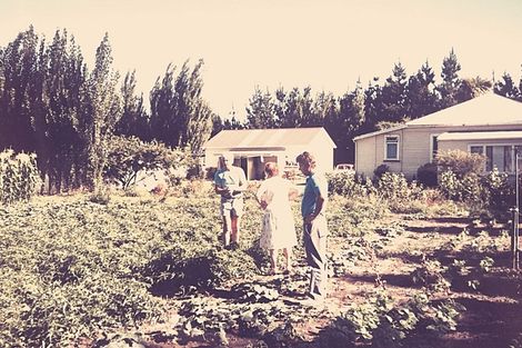 Photo of property in 176 Giles Road, Kaiapoi, 7692