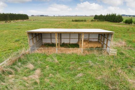 Photo of property in 265 Hoihere Road, Tiakitahuna, Palmerston North, 4477