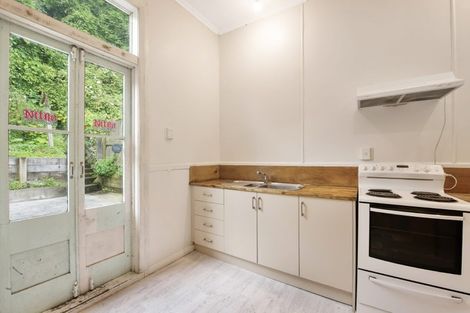 Photo of property in 17 Essex Street, Aro Valley, Wellington, 6021