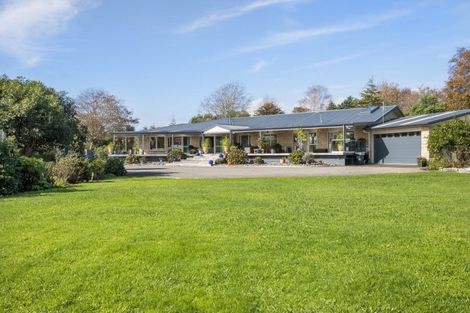 Photo of property in 365 Tuapiro Road, Tahawai, Katikati, 3170