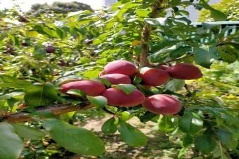 Photo of property in 154 Owen Street, Newtown, Wellington, 6021