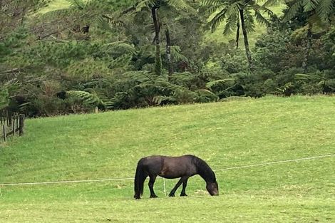 Photo of property in 1375 Carrington Road, Hurworth, New Plymouth, 4371