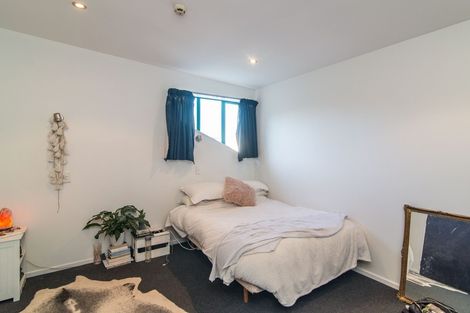 Photo of property in Vicino Apartments, 33/33 Taranaki Street, Te Aro, Wellington, 6011