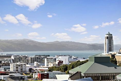 Photo of property in 19 Bidwill Street, Mount Cook, Wellington, 6021