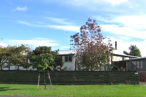Photo of property in 20 Hindmarsh Street, Henderson, Auckland, 0612