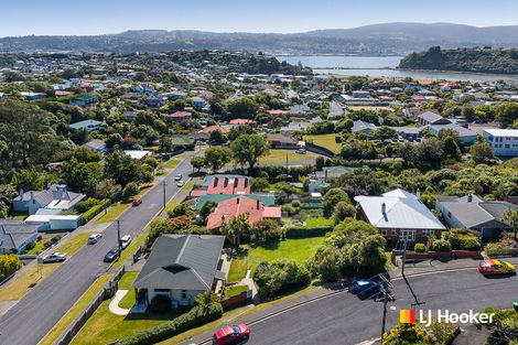 Photo of property in 38 Spottiswoode Street, Andersons Bay, Dunedin, 9013