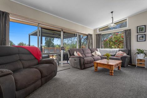 Photo of property in 314 Te Rahu Road, Poroporo, Whakatane, 3193