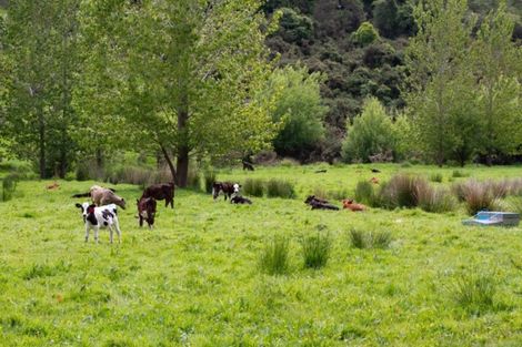 Photo of property in 186 Kaukatea Valley Road, Okoia, Whanganui, 4582