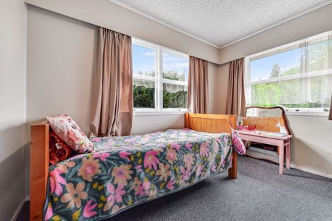 Photo of property in 141 Fitzroy Avenue, Fitzroy, Hamilton, 3206