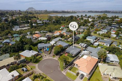 Photo of property in 13 Bristol Avenue, Brookfield, Tauranga, 3110