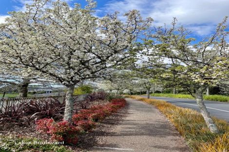 Photo of property in 6 Rire Hau Lane, Pyes Pa, Tauranga, 3112