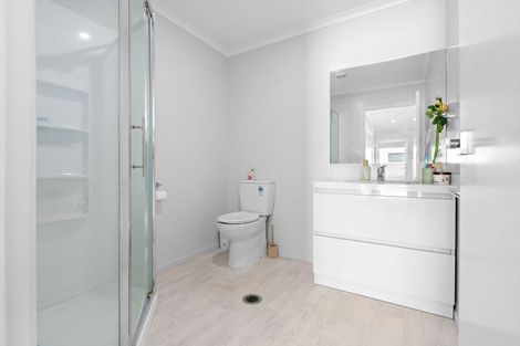 Photo of property in 3/15 Lyon Street, Frankton, Hamilton, 3204