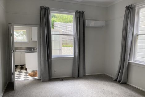 Photo of property in 43 Honiana Te Puni Street, Aro Valley, Wellington, 6021