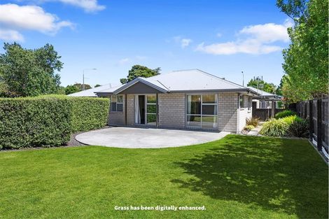 Photo of property in 184 Lincoln Road, Addington, Christchurch, 8024