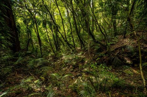 Photo of property in 185 Kanuka Rise, Wakapuaka, Nelson, 7071