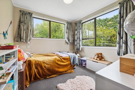 Photo of property in 185 Bird Road, Bird Road, Stratford, 4393