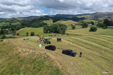 Photo of property in 211 Waitetuna Valley Road, Waitetuna, Raglan, 3295