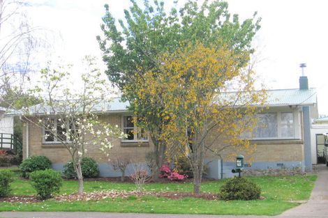 Photo of property in 42 Kingswood Road, Brookfield, Tauranga, 3110