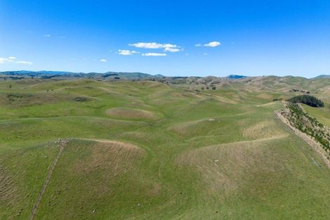 Photo of property in 300 Pattison Road, Akina, Hastings, 4122