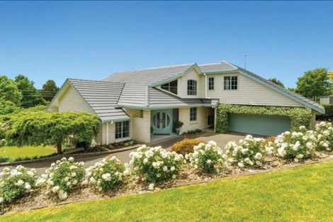 Photo of property in 17 Wallace Place, Tauriko, Tauranga, 3110