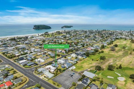Photo of property in 103 Bellona Road, Whangamata, 3620