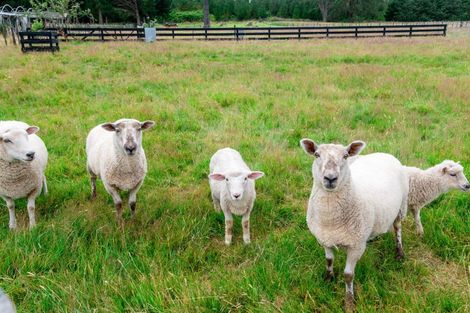 Photo of property in 36 Dumfries Road, Tokoroa, 3420