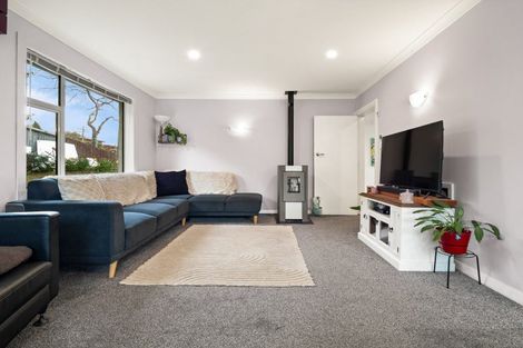 Photo of property in 20 Binnie Street, Abbotsford, Dunedin, 9018