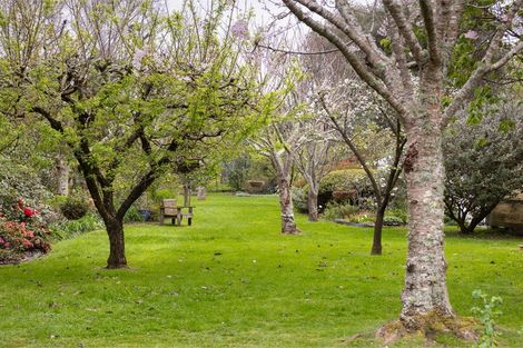 Photo of property in 249 Te Moana Road, Waikanae, 5036