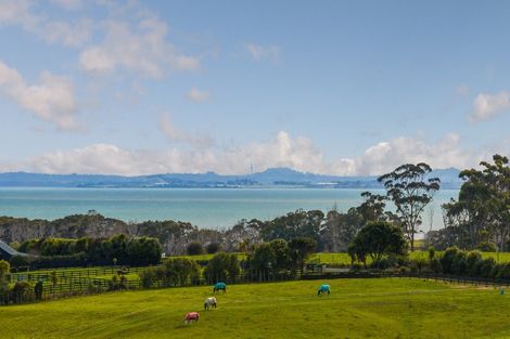 Photo of property in 425 Clarks Beach Road, Waiau Pa, Pukekohe, 2679