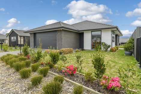 Photo of property in 53 Sentinel Avenue, Omokoroa, 3114