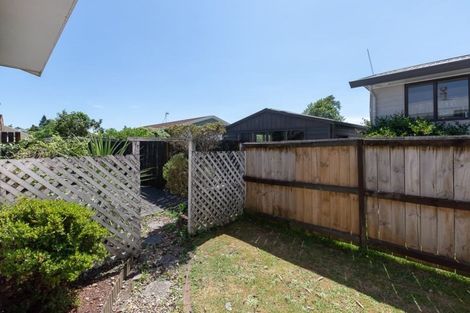 Photo of property in 45 Alison Street, Hamilton Lake, Hamilton, 3204