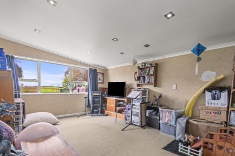 Photo of property in 273 Ashlea Road, Opiki, Palmerston North, 4474