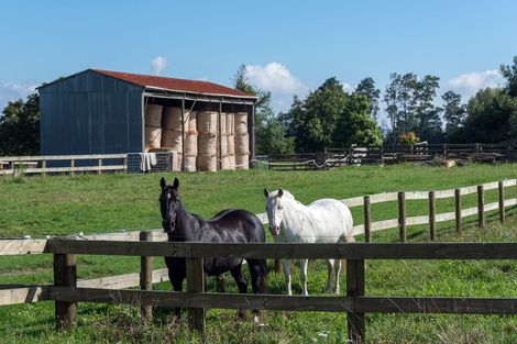 Photo of property in 25 Cookson Road, Tikitere, Rotorua, 3074